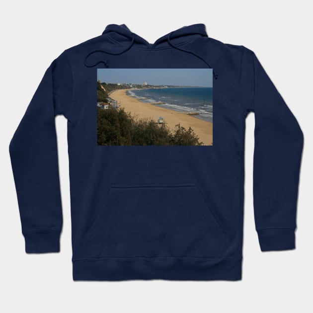 Golden Sands Hoodie by RedHillDigital